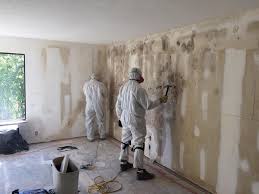 Best Environmental Consulting for Mold Prevention  in South Venice, FL